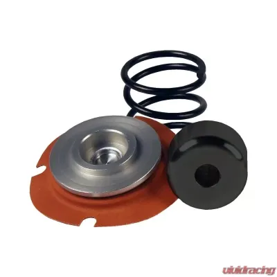 Aeromotive Fuel System Rebuild Kit, Regulator,13304, 35-75psi, .313 Valve - 13014