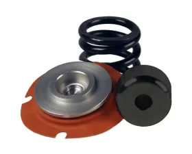 Aeromotive Fuel System Rebuild Kit, Regulator,13305, 35-75psi, .313 Valve
