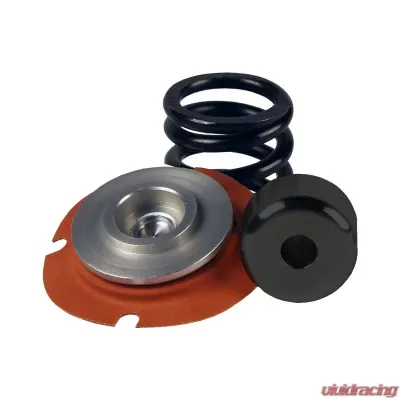 Aeromotive Fuel System Rebuild Kit, Regulator,13305, 35-75psi, .313 Valve - 13015