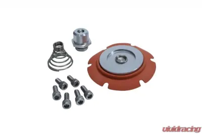 Aeromotive Fuel System Repair Kit - 13022