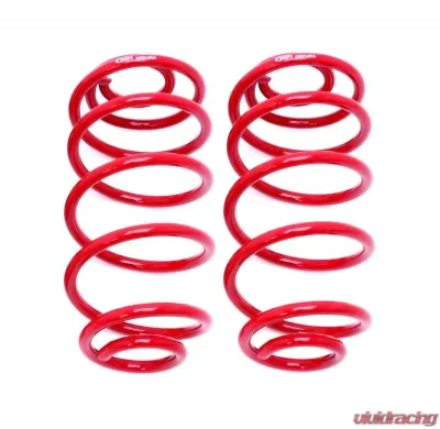 BMR Suspension Lowering Springs Rear 1" Drop Buick Skylark | Chevrolet Malibu | Oldsmobile 442 | Pontiac GTO 1967-1972 - SP014R