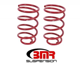 BMR Suspension Lowering Springs, Rear, 2