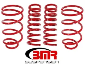 BMR Suspension Lowering Spring Kit, Set Of 4, 1