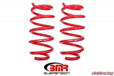 BMR Suspension Front Lowering Springs 1.25" Drop Performance Version Dodge Challenger 2008-2021 - SP111R