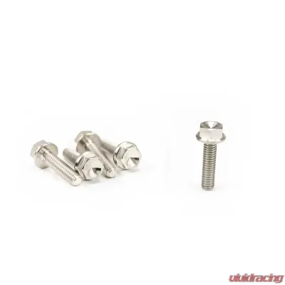 T1 Race Development GT1R Titanium Wheel Bolts - Beadlock Rings 17-Inch Belak Wheels - Belak Ti Beadlock 17