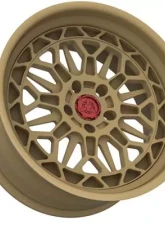 DTF Wheels Trail Series Trapper Step Lip Style Wheel Set 17-20x9-12                                     - DTF-Trapper-SL - Image 5