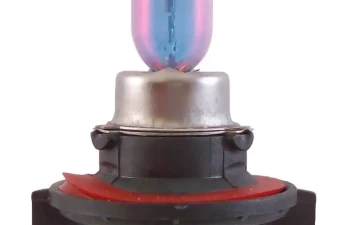 Bulbs