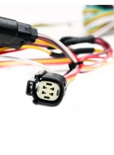 Armordillo USA Trailer Hitch Wire 4-Way Plug for 2016 Ford Escape QT Hitch Connect                                     - 7161665 - Image 3