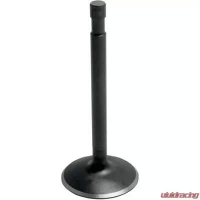 Alba Racing RZR XP900 Black Diamond Valves - 3199
