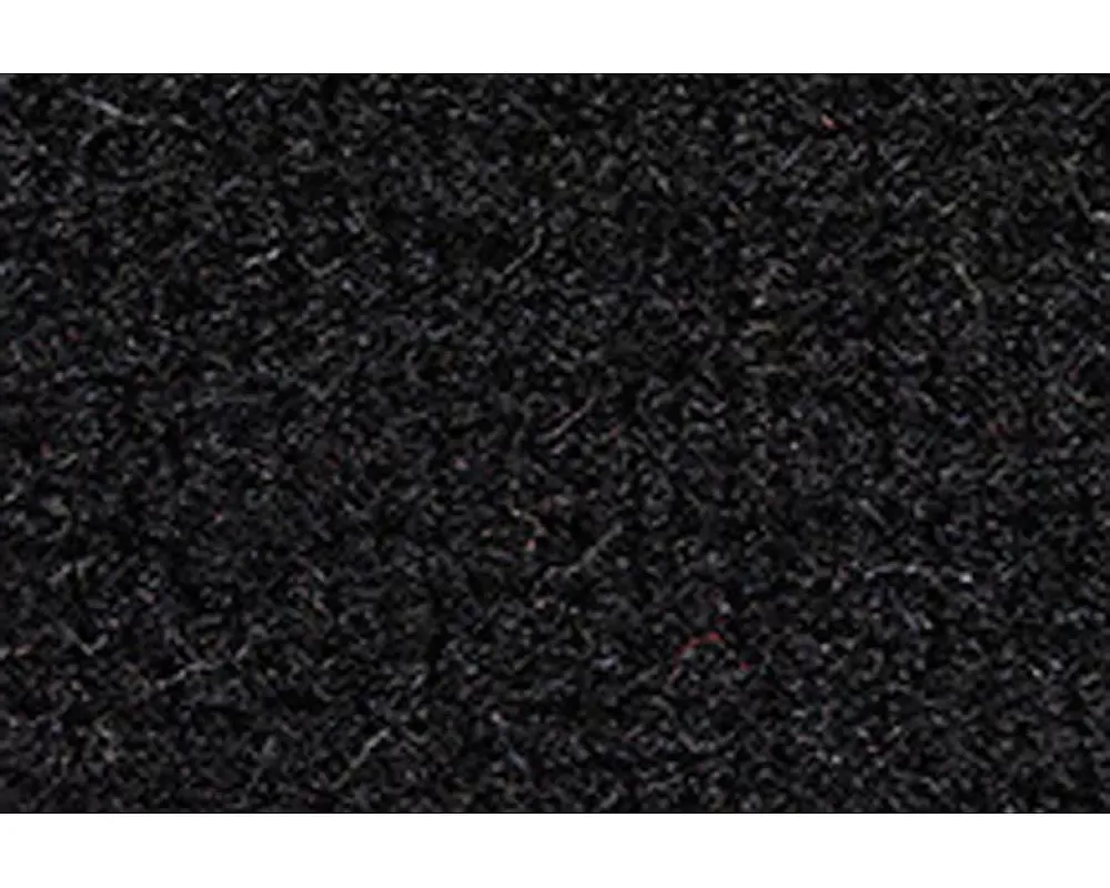 Custom Floor Carpet Dodge Raider 1987-1989 Passenger Area Auto Custom Carpets - 10700-162-1085000000