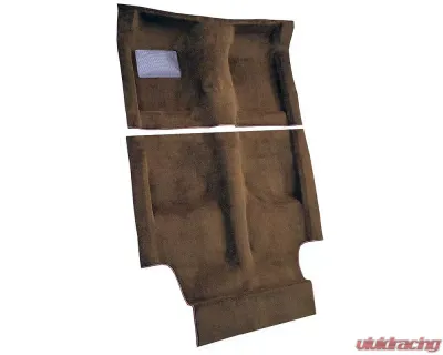 Custom Floor Carpet American Motors AMX 1969-1970 Passenger Area Auto Custom Carpets - 4572-162-1102000000