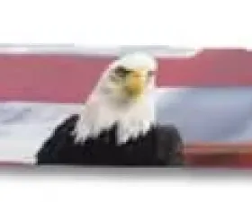 Stampede American Flag w/ Eagle Vigilante Premium Hood Protector Dodge Ram 2500 2010-2019