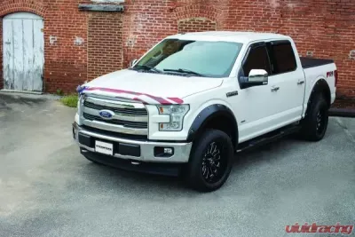 Stampede American Flag Vigilante Premium Hood Protector Ford F-150 2015-2019 - 2153-41