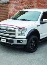 Stampede Smoke Tape-Onz Sidewind Deflector Ford F-150 | Raptor 2015-2022                                     - 61100-2 - Image 3