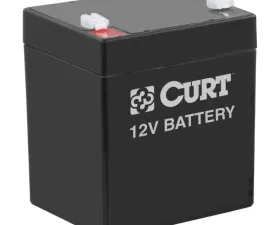 Curt Breakaway Battery