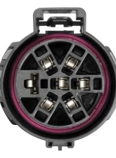 Curt Replacement USCAR Socket with 24" Wires (Vehicle Side)                                     - 56229 - Image 3