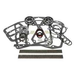 Internal Transmission Bearings