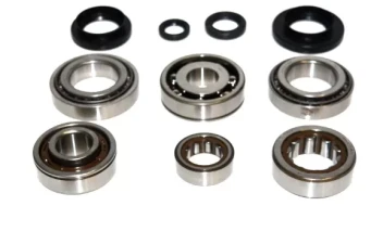 Internal Transmission Bearings