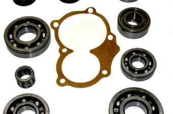 Internal Transmission Bearings