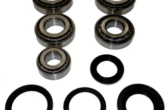 Internal Transmission Bearings