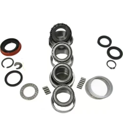 Internal Transmission Bearings