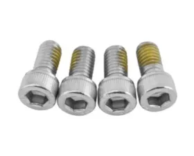 Big Gun Exhaust End Tip Allen Screws 4 PK 10/32 X 20 X 3/8 Socket Head Silver