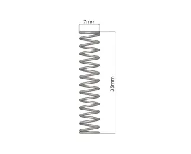 GFB Plunger Spring for DV Valve