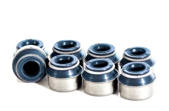 Gaskets & Seals