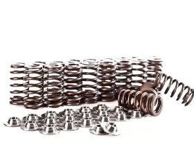 IE Valve Spring/Retainer Kit Volkswagen | Audi 2.5L 5 Cylinder