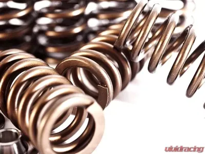 IE Valve Spring Kit Volkswagen | Audi 2.0T FSI/TSI/Gen 3 - IEVTVC3
