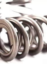 IE Valve Spring Titanium Retainer Kit Audi V6 30V 2.7T                                     - IEVTVD2 - Image 3