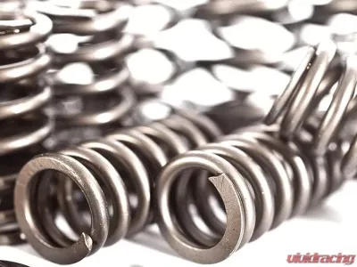 IE Valve Spring Titanium Retainer Kit Audi V6 30V 2.7T - IEVTVD2