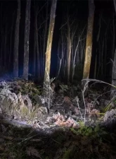 ARB Pure View 800 Flashlight                                     - 10500070 - Image 2