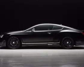 Wald USA Black Bison Edition Carbon Fiber Roof Wing Bentley Continental GT 04-12