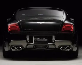 Wald USA Black Bison Edition Rear Bumper Bentley Continental GT 04-12