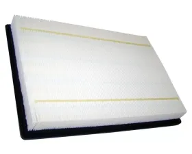Crown Automotive Jeep Replacement Air Filter for Miscellaneous 2002-12 Dodge & Ram Models