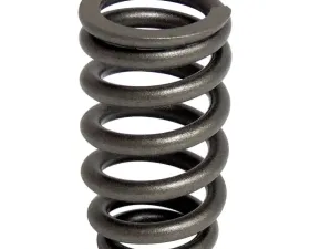 Crown Automotive Jeep Replacement Valve Spring