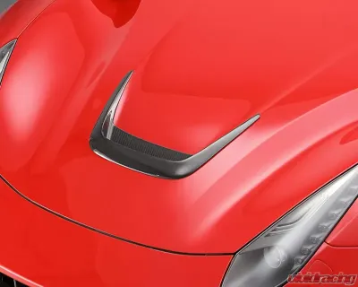 Novitec Carbon Fiber Inset for Engine Bonnet N-Nargo Ferrari F12tdf | F12berlinetta 2013-2017 - F6 222 44