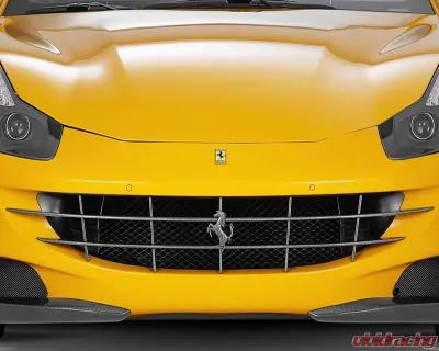 Novitec Carbon Fiber Front Grill Insert Ferrari FF w/o Front Camera 12-16 - F6 777 22
