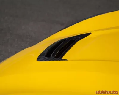 Novitec FRP Engine Bonnet Insert for Ferrari F12 Berlinetta 2013-2017, Wind Tunnel Tested - F6 222 03