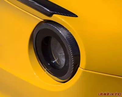 Novitec FRP Taillight Cover Ferrari F12 Berlinetta 13-17 - F6 222 05