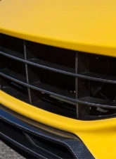 Novitec Carbon Fiber Front Grill Ferrari F12tdf | F12berlinetta 2013-2017                                     - F6 222 29 - Image 2