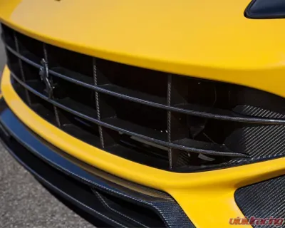 Novitec Carbon Fiber Front Grill Ferrari F12tdf | F12berlinetta 2013-2017 - F6 222 29