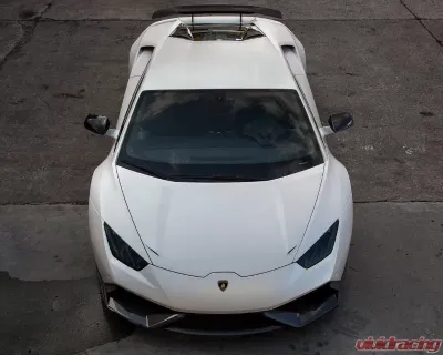 Novitec Visible Carbon Front Strut Lamborghini Huracan RWD - L6 222 36