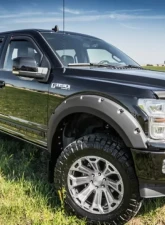 EGR Matte Black Superguard Style Hood Shield Ford F-150 2015-2020                                     - 303475 - Image 3