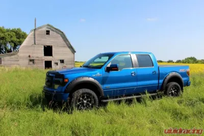 EGR Bolt-On Style Fender Flares Set Ford F-150 2015-2017 - 793474