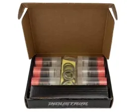 Industrial Injection Dodge 12V 191 Delivery Valves w/ Washers And Gaskets (Complete Kit)
