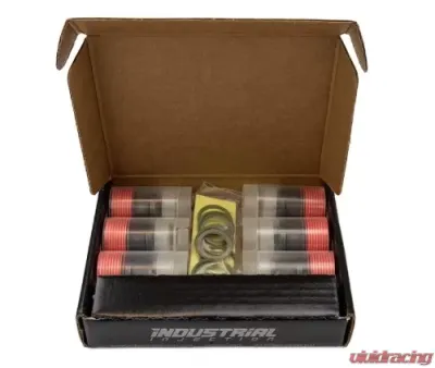 Industrial Injection Dodge 12V Laser Cut Delivery Valves w/ Washers And Gaskets (Complete Kit) - 232606