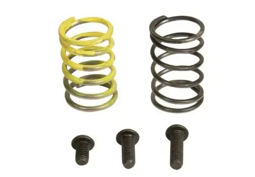 Industrial Injection 12V AFC Spring Kit Dodge 1994-1998 - 232708