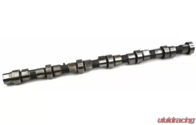 Industrial Injection Dodge 6BT Cummins Street Cam (Stock Pistons) Regrind - PDM-007RV
